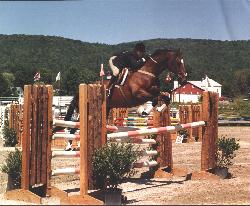 horse