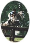horse