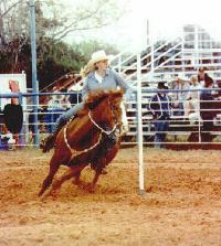 horse