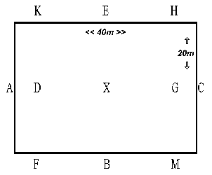 20m x 40m arena