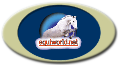 Equiworld