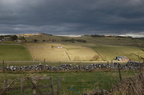 2005-03-n1-001-7776