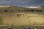 2005-03-n1-001-7777