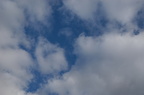 2005-03-n1-001-7780
