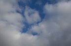 2005-03-n1-001-7781