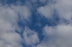 2005-03-n1-001-7782