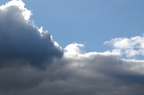 2005-03-n1-001-7784