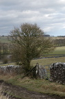 2005-03-n1-001-7785