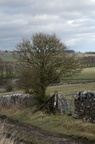 2005-03-n1-001-7786
