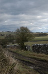 2005-03-n1-001-7787