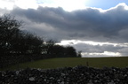 2005-03-n1-001-7788