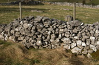 2005-03-n1-001-7789