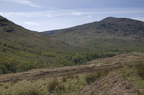 2005-05-n1-8377-web