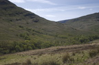 2005-05-n1-8378-web