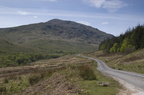 2005-05-n1-8379-web