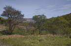 2005-05-n1-8380-web