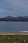 2005-05-n2-0001-web