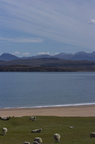 2005-05-n2-0002-web