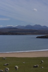 2005-05-n2-0003-web