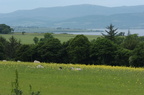 2005-06-n2-001-0345