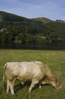 2005-09-n2-5862-web