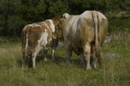 2005-09-n2-5869-web