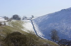 2006-03-n2-0002-r