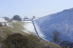 2006-03-n2-0003-r