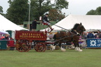 2006-08-n2-6238