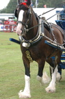2006-08-n2-6239