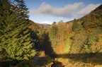 2006-11-n3-8497-r