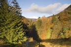 2006-11-n3-8499-r