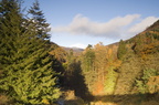 2006-11-n3-8500-r