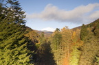 2006-11-n3-8501-r