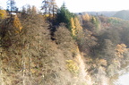 2006-11-n3-8503-r