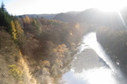 2006-11-n3-8505-r