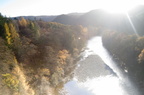 2006-11-n3-8507-r