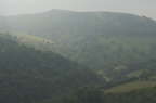 2007-08-n3-6254-r