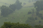 2007-08-n3-6265-r