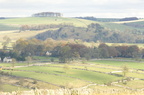 2007-11-n3-7136-r