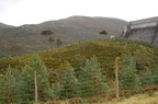 2007-12-27-2007  11 