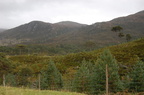 2007-12-27-2007  12 