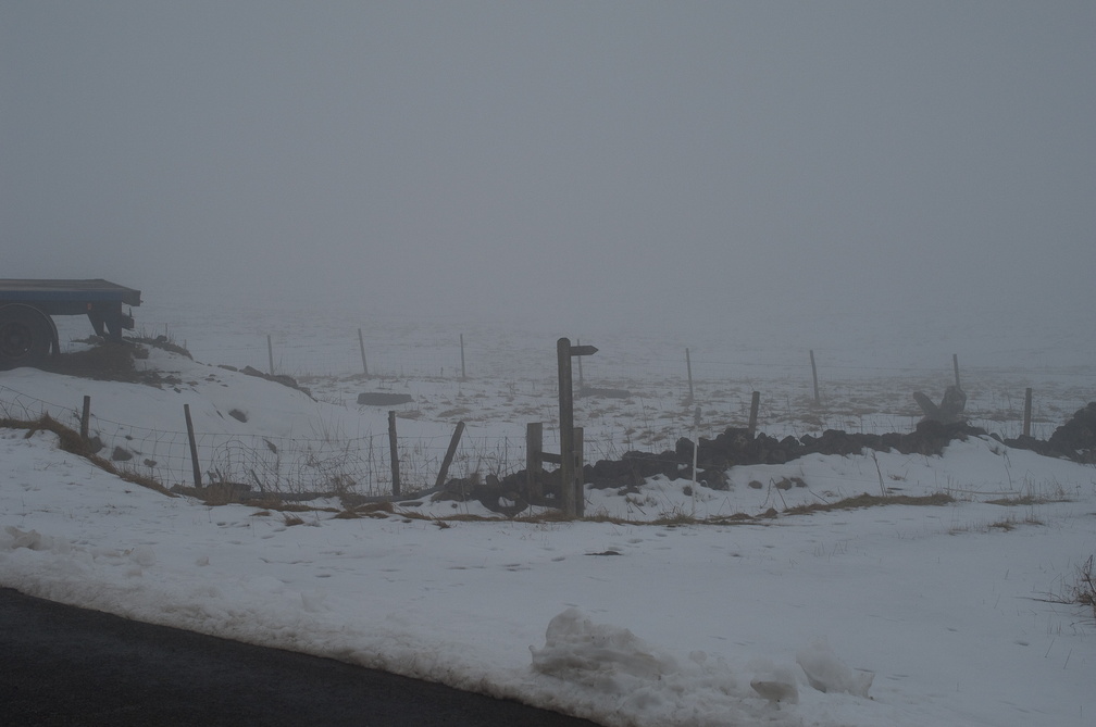 2010-02-n3-8304.jpg