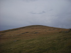 2010-03-n2-4873