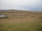 2010-03-n2-4874