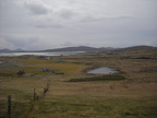 2010-03-n2-4875