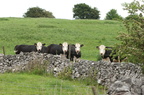 2010-06-n3-0752