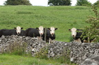 2010-06-n3-0754