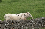 2010-06-n3-0755