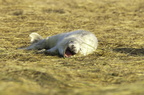 2010-11-n1-2032-b